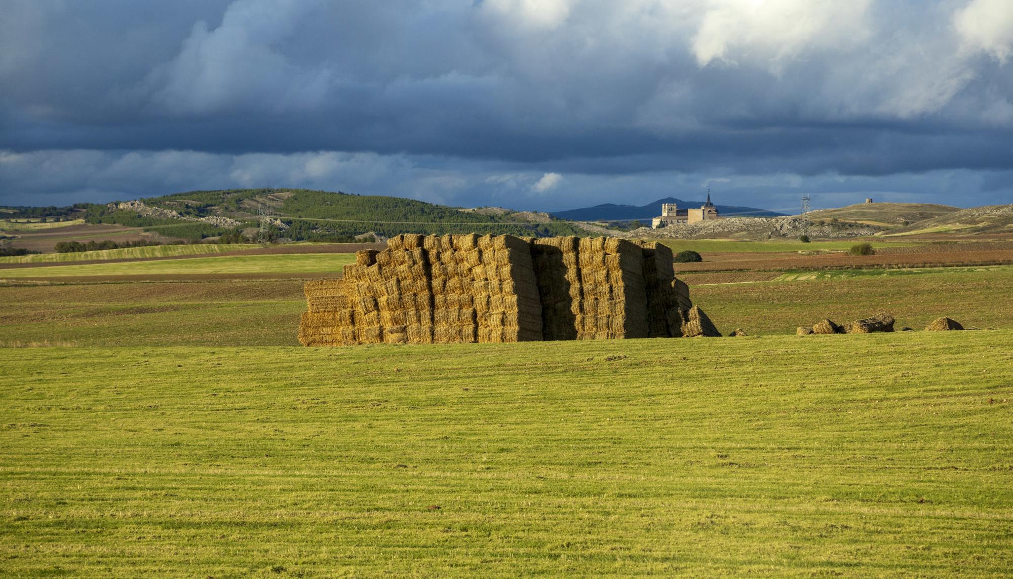 Campo autovia - A·3